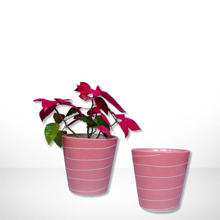 Bucket 3 pc