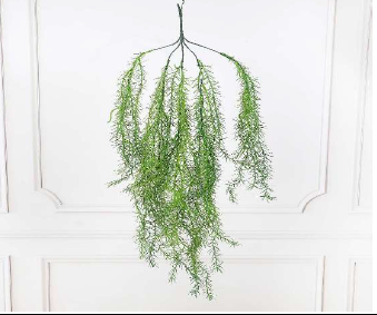 AC ASPERAGUS 110 CM TALL