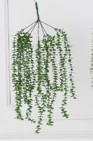 AC HANGING EQULIPTUS 70 CM
