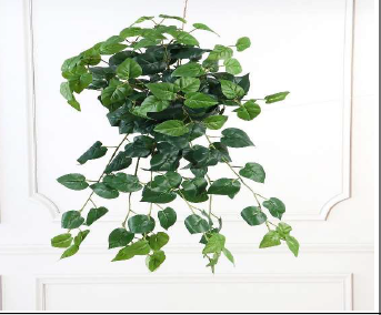 NEW PHILO 68 CM TALL