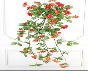 BOUGAINVILLEA BUSH 105 CM HEIGHT