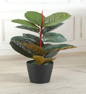 AP RUBBER PLANT R355/1425