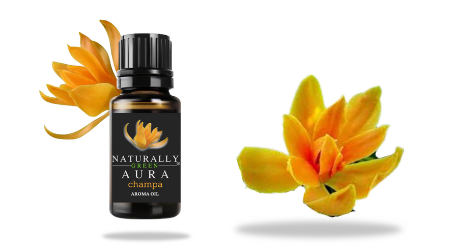 Ng Champa Diffuser oil