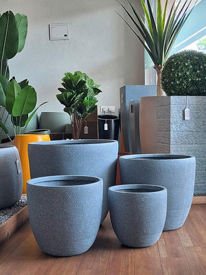 Cono