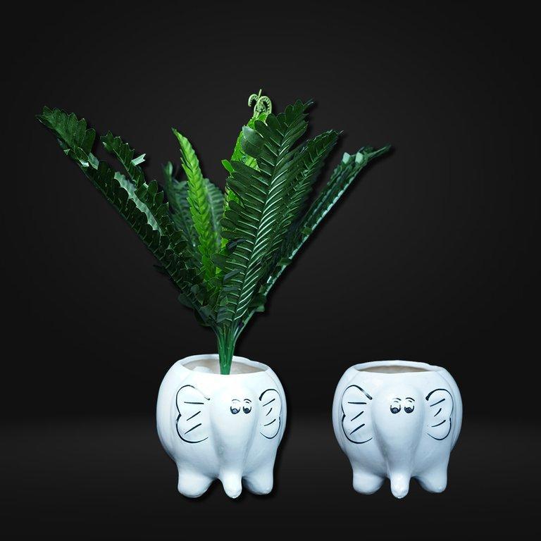 Elephant Round