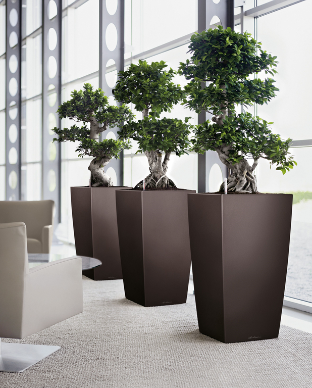Frontier Planter