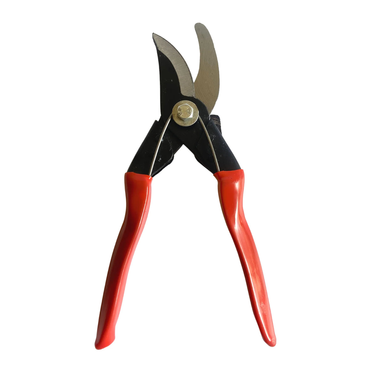 German cut Pruner