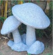 Mushroom Set-L 26-H 16