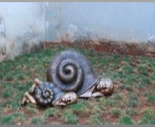 Snail