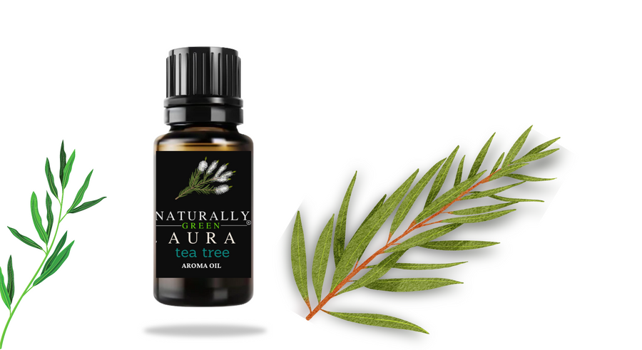 Ng Tea Tree Diffuser oil - Diffuser Oil