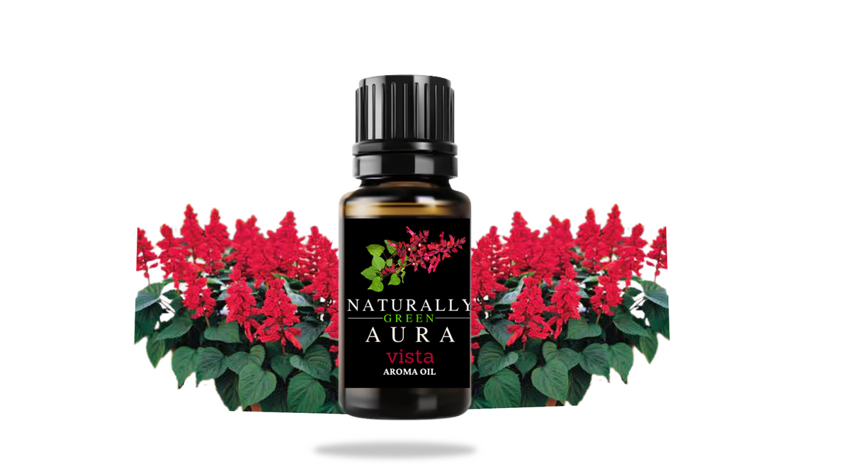 Ng Vista Diffuser oil