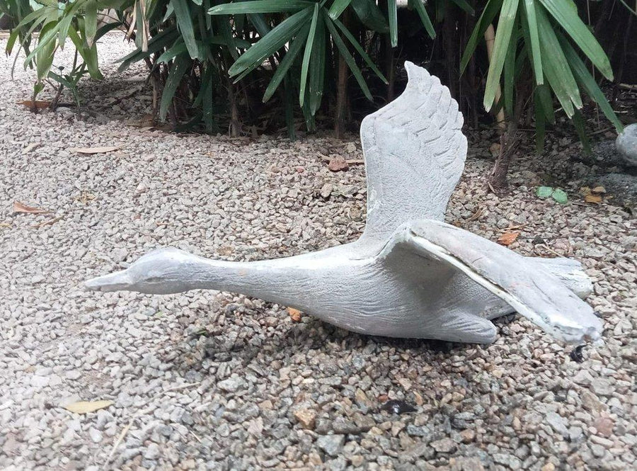 Garden Duck