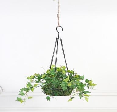 HANGING 54 CM IVY
