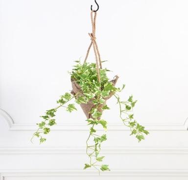 HANGING 78 CM HOLLAND