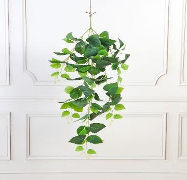 POTHOS GREEN 95 CM TALL