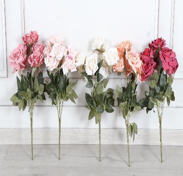 NEW ROSE - Flowering Arti