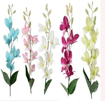 SUPER FUZIA ORCHID