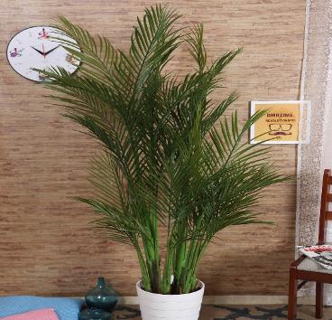 AP 160 CM ARICA X 6 1248D/13525
