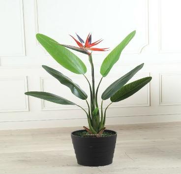 REAL TOUCH STRELITZIA WITH FLOWER 100 CM