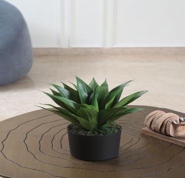 NEW AGAVE 40CM