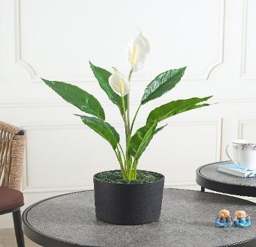 REAL TOUCH ANTHURIUM 56 CM