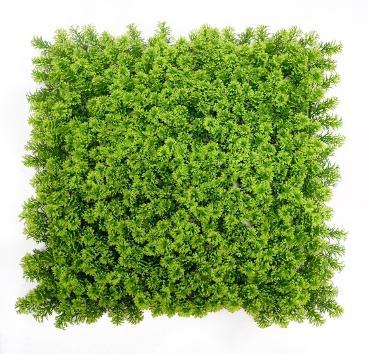 UV GREEN WALL 50CMX50CM 1601DD/1601AAA/1445