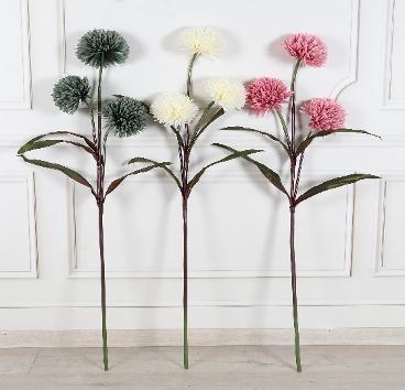 AUTUMN CHRYSANTHEMUM 3 HD