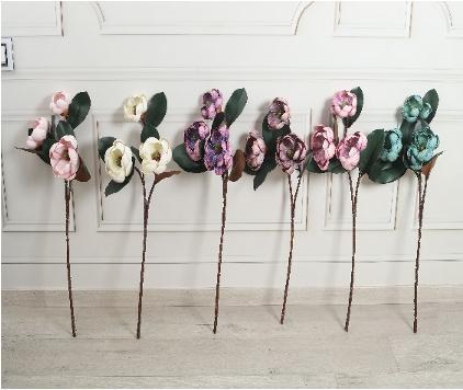 MAGNOLIA - Flowering Arti