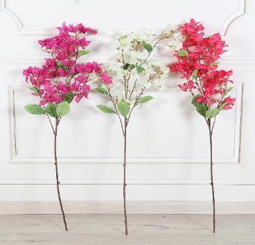 BOUGAINVILLEA STICK