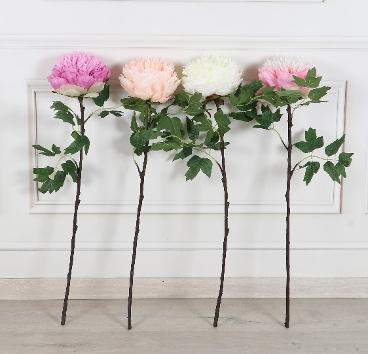 BIG PEONY