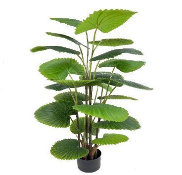 REAL TOUCH CIRCULAR FAN PALM 75 CM
