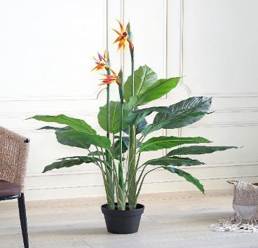 AP 140 CM BOP WITH POT 7202/13850