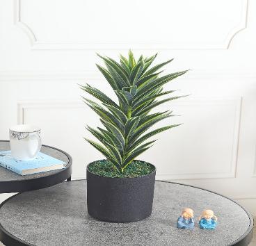 REAL TOUCH DRACAENA 48 CM