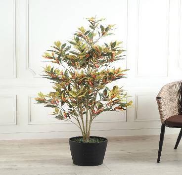 CROTON RED 150 CM