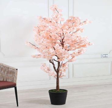 CHERRY BLOSSOM