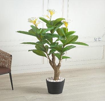 SILICONE FRANGIPANI