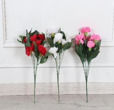 CARNATION X7