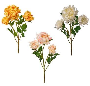 CHRYSANTHEMUM