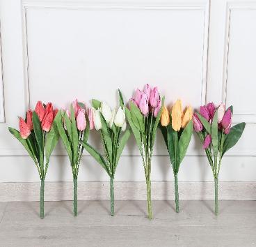 NEW TULIP