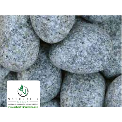 Sadarahalli Grey  pebbles