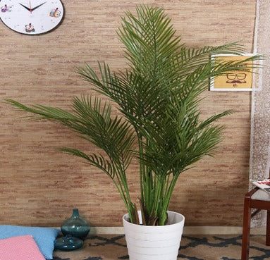 ARICA 130 CM