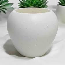 APPLE POTS