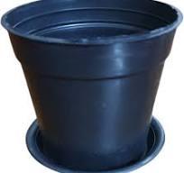 10''Pot with Plate