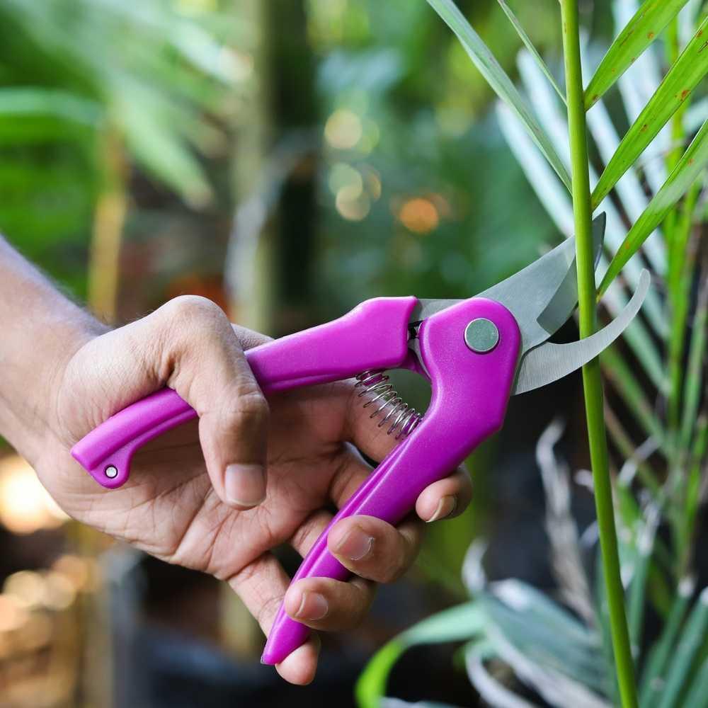 Hand Pruner Heavy