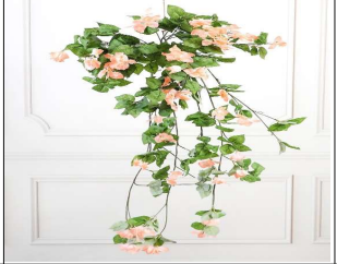 BOUGAINVILLEA BUSH PEACH 105 CM HEIGHT