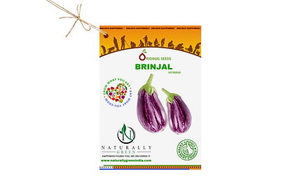 Ng Brinjal 100 Seeds - Seeds