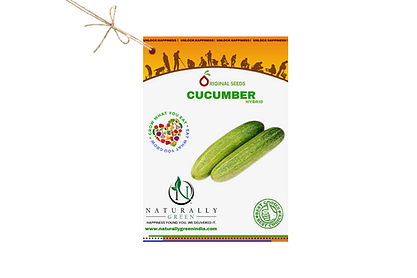 Ng Cucumber 100 Seeds - Seeds