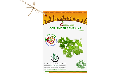 Ng Coriander 100 seeds