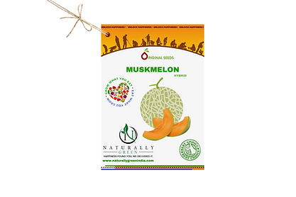 Ng Muskmelon 25 Seeds - Seeds