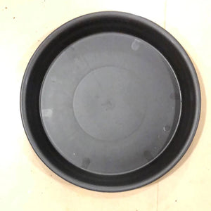 Round Plate